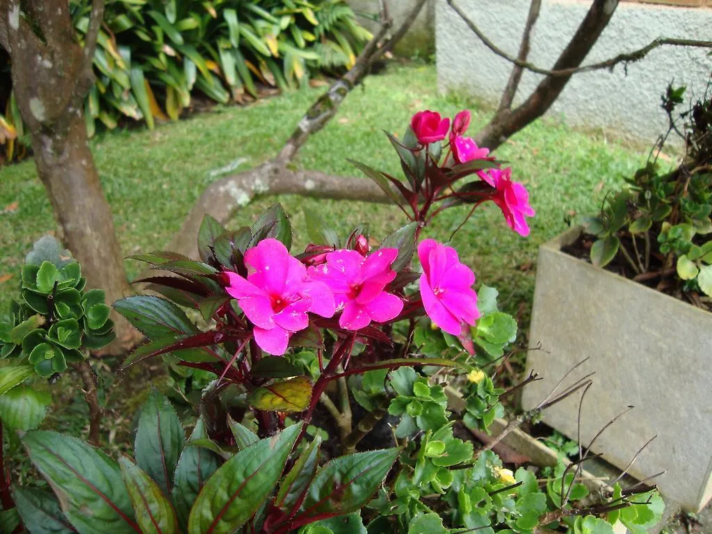 Sonho Verde Guest House Campos do Jordao